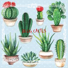 Cactos.com